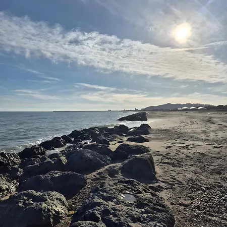 La Conchiglia Licata